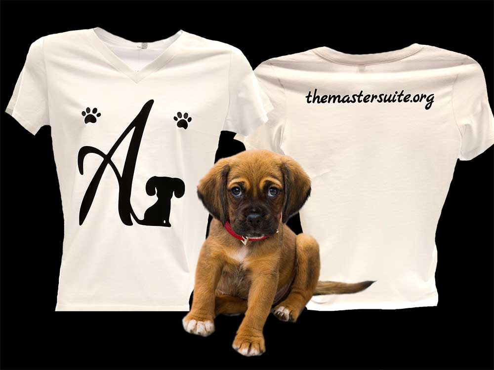 Custom t-shirts and apparel printed in Joliet, Illinois