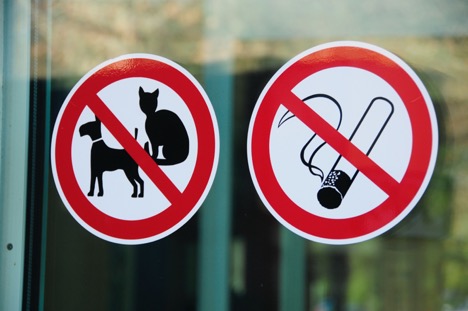 Window and wall sign tips for businesses in Joliet Illinois