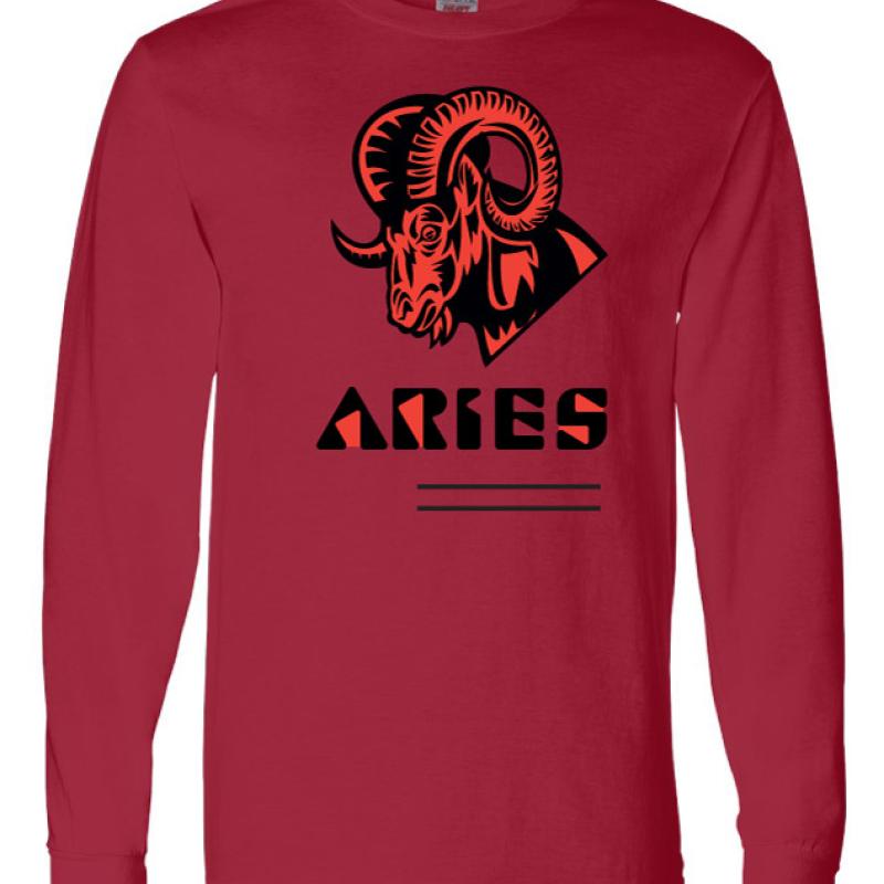 Men Aries Zodiac Shirt
